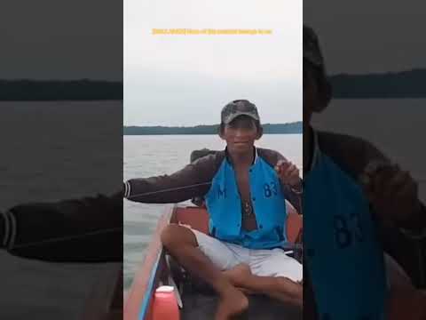 explain this please #youtube #shorts #funny @AuditTheAudit @wonderbotanimals