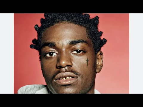Kodak black arrested after visiting his childhood neighborhood @AuditTheAudit ​⁠