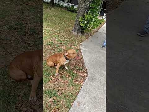 @thecivilrightslawyer @AuditTheAudit