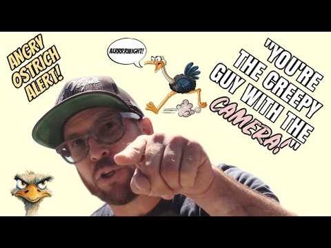 1st Amendment Audit, Ostrich Farmer Goes Berserk Over A Camera FAIL!
